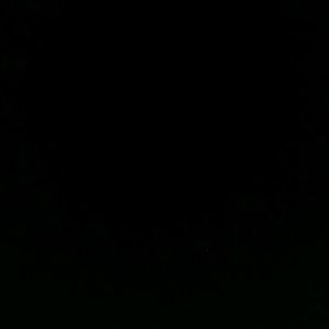 Meet your Posher, Caden